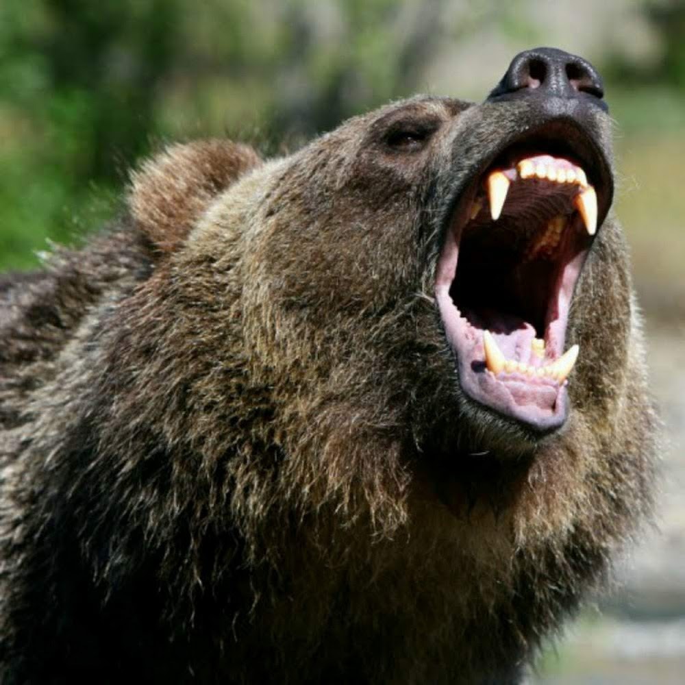 Meet your Posher, Sol